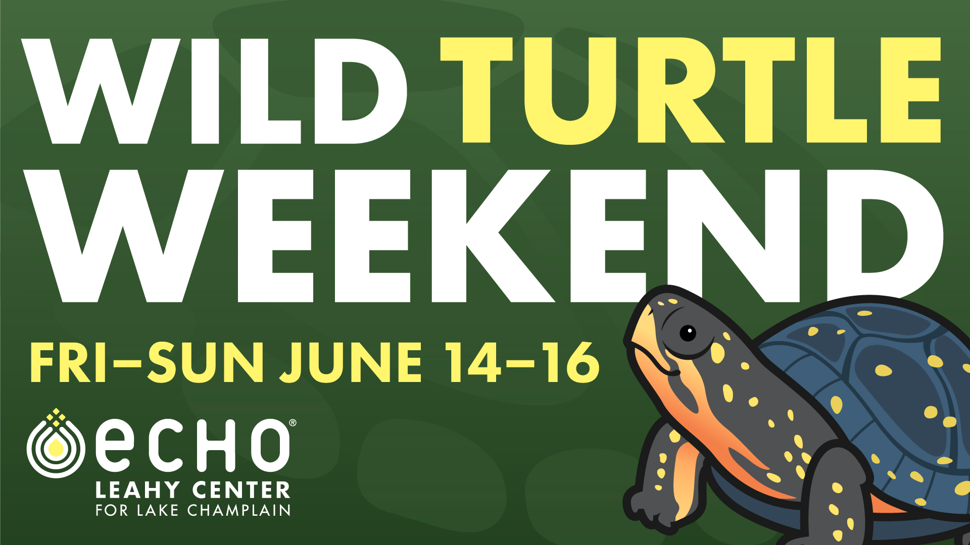 Dark green graphic with illustration of spotted turtle. White and yellow text reads "Wild Turtle Weekend Fri-Sun June 14-16." ECHO Leahy Center logo.