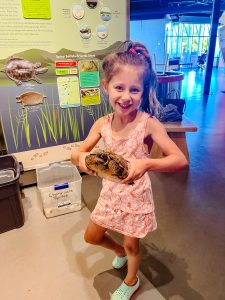 Child with pink dress holding a turtle and smiling