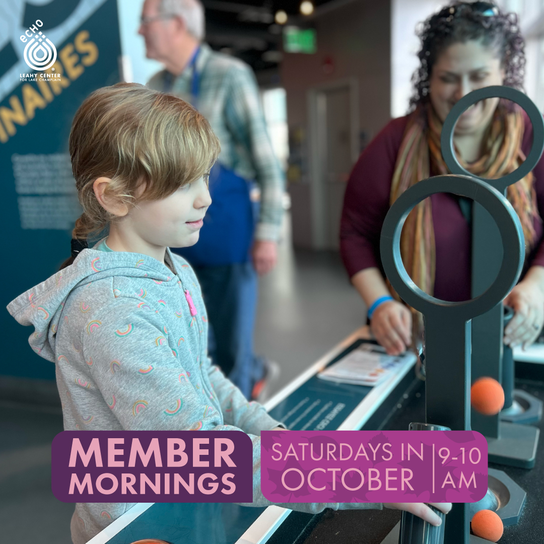 Member Mornings Saturdays in October 9-10 am