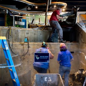 Two ECHO staff members stand in the now-empty lower river tank while looking up at a third staff member standing in the upper river tank.