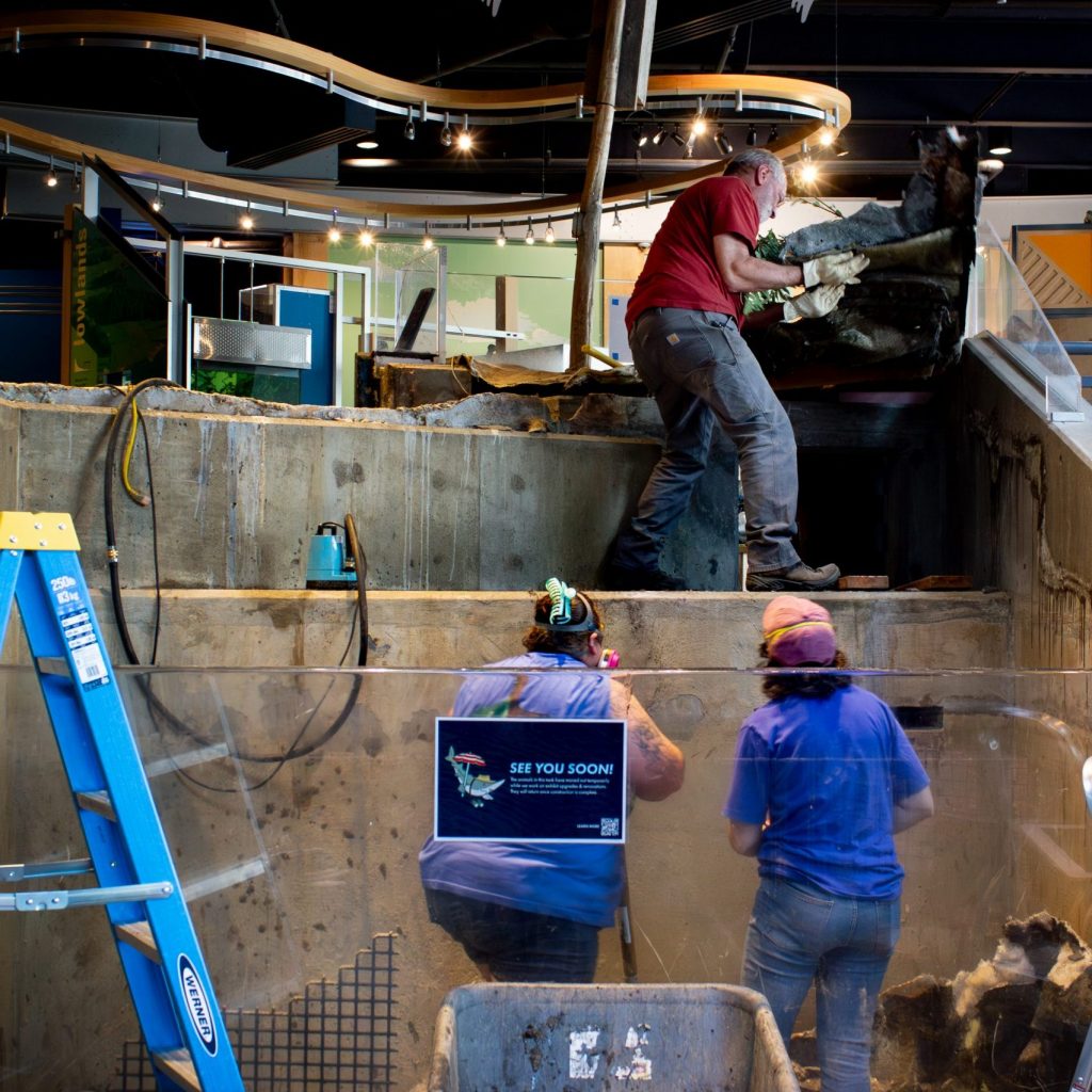 Two ECHO staff members stand in the now-empty lower river tank while looking up at a third staff member standing in the upper river tank.