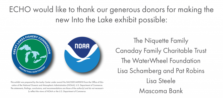 ECHO would like to thank our generous donors for making the new Into the Lake exhibit possible: Great Lakes Fishery Commission, NOAA, The Niquette Family Canaday Family Charitable Trust The WaterWheel Foundation Lisa Schamberg and Pat Robins Lisa Steele Mascoma Bank