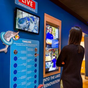 An adult stands with her back to the camera facing ECHO's new Into The Lake renovation mini exhibit. The exhibit includes a construction timeline, live video of ECHO's off-site Animal Care, and photos of the pre-renovation animal relocation process.