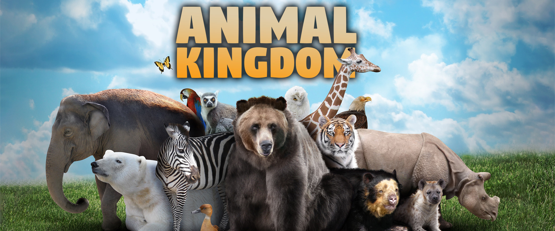 Animal Kingdom; photo collage of different animals