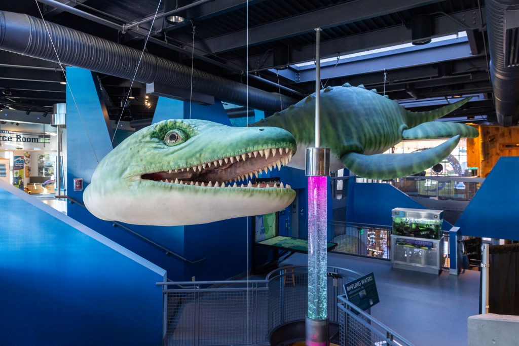 A view of ECHO's 30-foot Champ sculpture hanging above the museum's mezzanine.