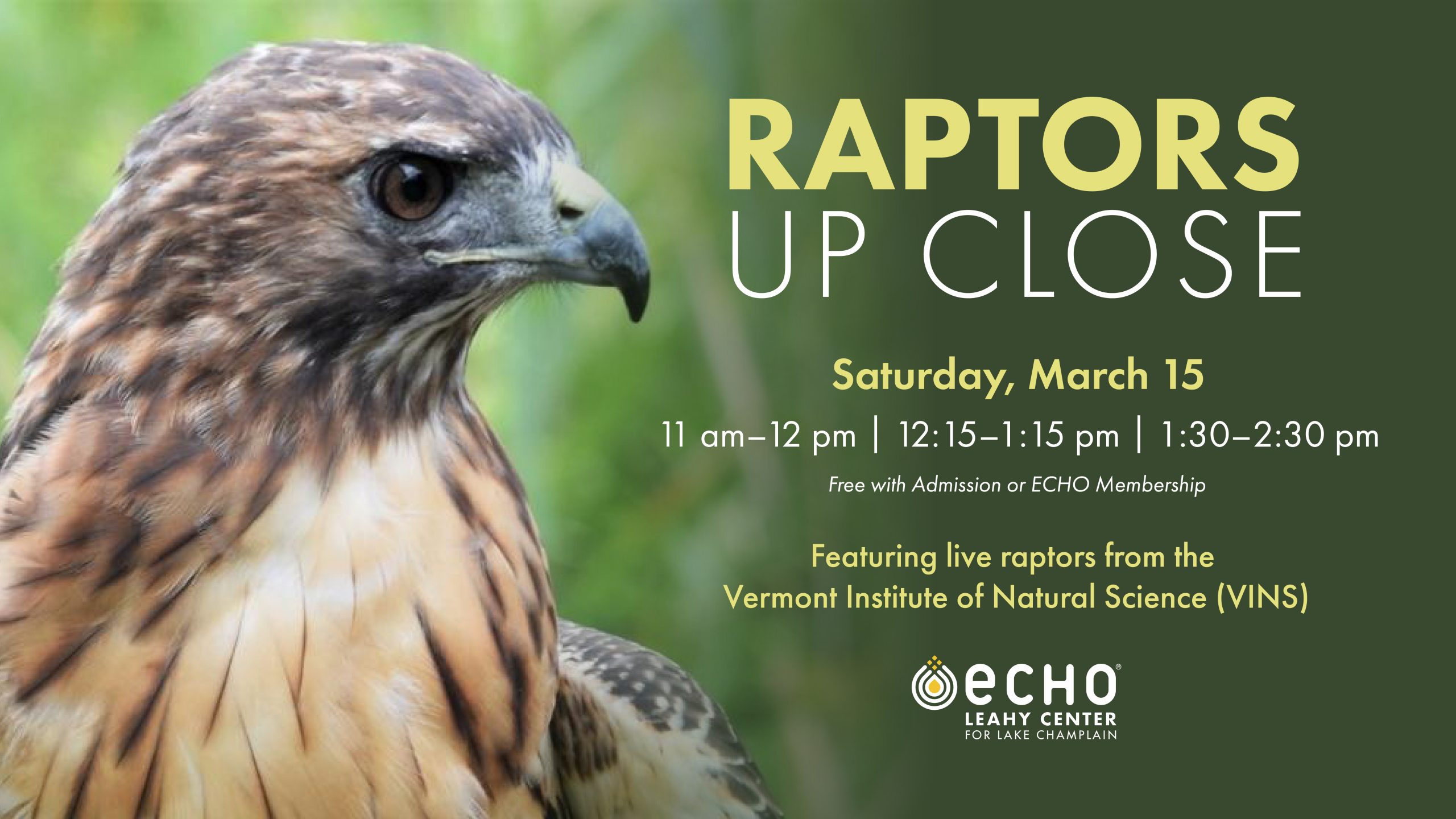 Raptors up close. Saturday, March 15. 11 am–12 pm | 12:15-1:15 pm | 1:30-2:30 pm. Free with Admission or ECHO Membership. Featuring live raptors from the Vermont Institute of Natural Sciences (VINS). Image of a red-tailed hawk.